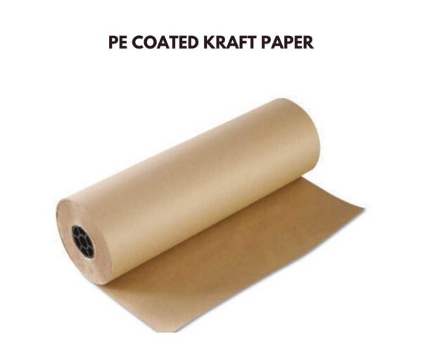 PE Coated Kraft Paper (1)