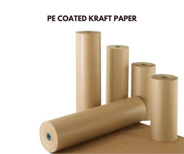 PE Coated Kraft Paper (2)