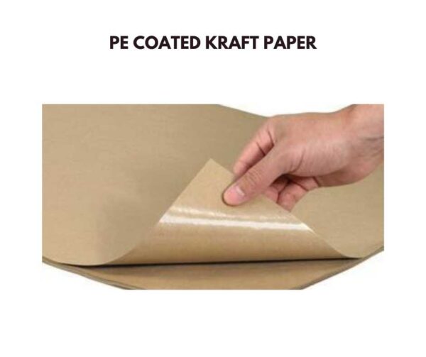 PE Coated Kraft Paper